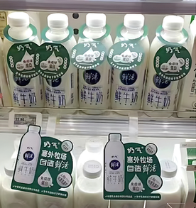 Case 2 retail display